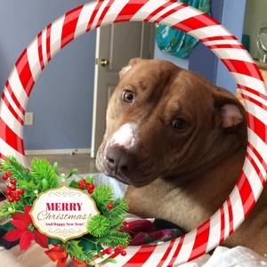 Meet your Posher, Annette